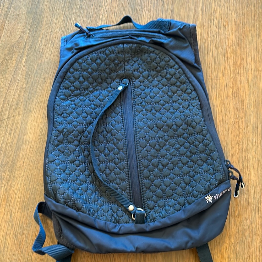 Sherpani backpack